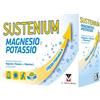 Menarini Linea Sali Minerali Sustenium Magnesio Potassio Integratore 28 Buste Of