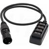 HangTon Connect Hangton Block Battery 12V XLR 4 Pin Alimentatore Splitter per D-tap Convertitore adattatore a 4 porte 12 pollici (30 cm)