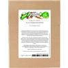 Magic Garden Seeds Antiche varietà di fragole - set di semi con 3 varietà tradizionali e aromatiche