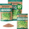 ZenGreens® - Semi di crescione biologico - Scegli tra 10g, 200g e 500g - Germogli di crescione - Germinazione superiore al 97% - Microgreens