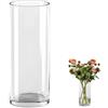 QEEYON Vaso cilindrico in vetro, alto 30 cm, extra large, vaso per fiori in cristallo ispessito, per composizioni floreali per soggiorno, cucina, ufficio, matrimoni (30 x 12 cm)