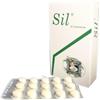 .IT FARM Srl SIL SILIMARINA+VITAMINA E 450G