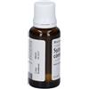 Syzygium Guna Heel Syzygium Compositum Gocce 30 Ml ml orali