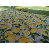 Pago Poco Tovaglia Rettangolare Fantasia LIMONI e FIORI...100% Cotone..Misure:140x180-140x240...Miglior PREZZO!!!!! MADE IN ITALY..(140X180)