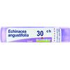 BOIRON Srl Echinacea Angustifolia 30CH Boiron 80 Granuli