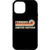Customized Last Name Gifts Matching Fami Custodia per iPhone 15 Pro Max FERRARO Surname Retro Vintage 80s 90s Birthday Reunion
