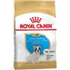 Royal Canin Bulldog Francese Puppy 1Kg Crocchette Cani Cuccioli