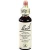 Schwabe Pharma Italia Chestnut Bud Bach Orig 20 Ml