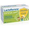 LACTOFLORENE COLESTEROLO Lactoflorene difesa bb 10fl