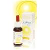 Colisen gocce 30ml