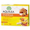 AQUILEA FLU Aquilea energia troca'+ginseng