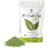 ERBOTECH Tè Matcha BIO, The Verde Giapponese Biologico in Polvere, Busta da 1 kg, Multivitaminico Naturale al 100%, Vegan. Ideale per Dolci, Frullati, Tè freddo