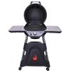 Char-broil Barbecue a gas CHAR-BROIL ALL STAR 120 B 3.8 kW - PRONTA CONSEGNA mail sconto