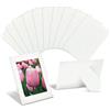 Better Office Products Cornici di carta per foto da 10 x 15 cm, confezione da 50 cornici in cartoncino pesante con cavalletto, cornici di carta da terra (bianco)
