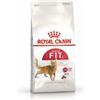 Royal Canin FIT 32 Regular per gatti attivi | 400 g | Alimento completo per gatti adulti | Può aiutare a ridurre la formazione di boli di pelo