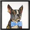 World Art Quadro collage 3D 'Boston Terrier'