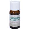 FORZA VITALE ITALIA Srl 10 ml Gocce orali