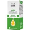 Tea Tree Olio Essenziale 10 ml essenziale