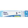 Ribes Nigrum 9Ch Gr 4 g Granuli