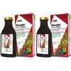 Salus Floradix® 250 ml 2x250 Elisir