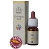 Guna Fiori di Bach Chestnut Bud Gocce 10 ml