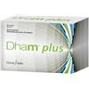 Dham plus 30bust