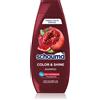 Schwarzkopf Schauma Color Shine 400 ml
