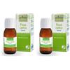 BOIRON® Ficus Carica Gemme 2x60 ml Soluzione orale