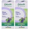 BOIRON® Ribes Nigrum Gemme 2x60 ml Soluzione orale