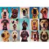 Wesen puzzl 1000 pezzi, puzzl pezzi, puzzl animal, puzzle per animali 1000 pezzi, per adulti e bambini,giocattolo educativo per bambini, gioco di sfida,giocattolo antistress,1000 pezzi puzzle (Color3)