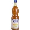 Fabbri Sciroppo Mixybar Plus Bergamotto