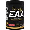 LS LUXURY SUPPLEMENTS EAA Aminoacidi Essenziali Luxury Supplements ● Aminoacidi Essenziali in Polvere 300 g Gusto Anguria ● Essential Amino Acids per lo Sviluppo Muscolare ● EAA Senza Calorie Carboidrati e Zuccheri