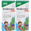 SALUS Floradix-Kindervital® Fruity Formula 2x250 ml Sospensione