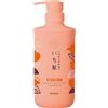 Ichikami Denso W Idratante Cura Dei Capelli Shampoo Pompa - 480ml