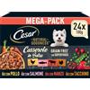 Cesar Natural Goodness Casserole Cibo Umido per Cani al gusto di Pollo, Tacchino, Manzo e Salmone in Salsa, 24 Vaschette da 100g