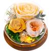 Touloube Rosa Stabilizzata Vera Regalo per la Festa Della Mamma per Donne Mamma Moglie, Avanzate Regalo Donna, Rosa Eterna Fiore Bella e la Bestia con Luci LED, Anniversario Regalo Rosa Moglie Nonna