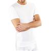 NOTTINGHAM 3 Pezzi Maglia Uomo Mezza Manica Girocollo TM6102 in Cotone Jersey (Bianco, 5/L)