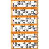 Thomas and Anca 600 Tickets de bingo - Bloc de Vert 6 à vue Flyers