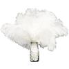 YNR 12 Pezzi Piume di Struzzo Bianco 10-12inch (25-30cm),Piume di Struzzo Naturali per Artigianato Fai da Te,Piume di Struzzo Decorazione Grande per Matrimonio Festa Casa Vaso Ufficio Festa