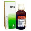 Dr.reckeweg Dr. Reckeweg R56 Medicinale Omeopatico Gocce 22ml