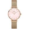 Daniel Wellington Petite Orologi 28mm Double Plated Stainless Steel (316L) Rose Gold