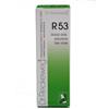 Reckeweg R 53 Gocce 22ml