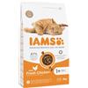 IAMS Cat Adult All Breeds Chicken 3 kg