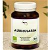FREELAND Auricularia Myco-vital 93 Capsule