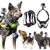 DKE&YMQ Pettorina per cani GoPro, morbida e regolabile, per cani di taglia grande, media e piccola, può essere utilizzata per fissaggio petto e schiena, adatta a tutti i modelli di GoPro Hero