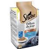 Sheba Delizie del Giorno in Gelatina Pesce per Gatto 6 x 50 g - Confezione da 12