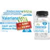 PALADIN PHARMA SpA SANAVITA VALERIANA 100CPR
