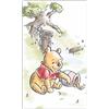 Carbotex Winnie Pooh WP211030 - Asciugamano per bambini, 30 x 50 cm