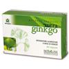 Farmaderbe Ginkbo Biloba Integratore Antiossidante 60 Capsule
