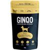 GINQO Cibo Secco per Cani Naturale 500g - Crocchette per Cani Ipoallergeniche Monoproteiche con Proteine di Insetti - Mangime per Cani Senza Glutine, Gastrointestinal e Senza Cereali - Cani Adulti